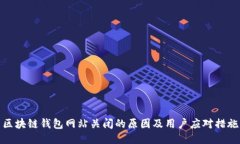 区块链钱包网站关闭的原因及用户应对措施