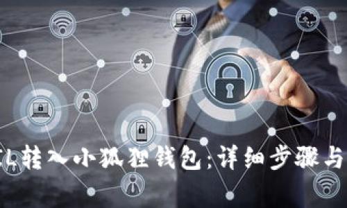 如何将FIL转入小狐狸钱包：详细步骤与注意事项