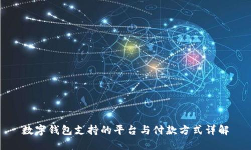 数字钱包支持的平台与付款方式详解