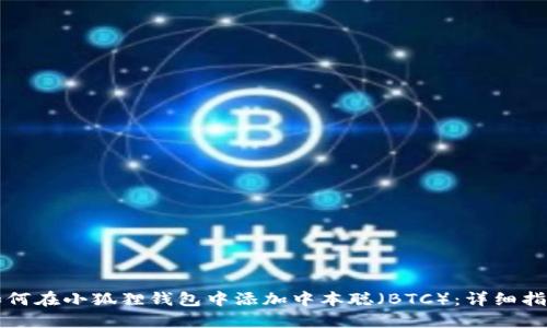 如何在小狐狸钱包中添加中本聪（BTC）：详细指南