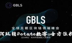 如何玩转Potato数字：全方位指南