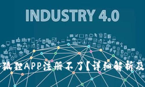 为什么小狐狸APP注册不了？详细解析及解决方案